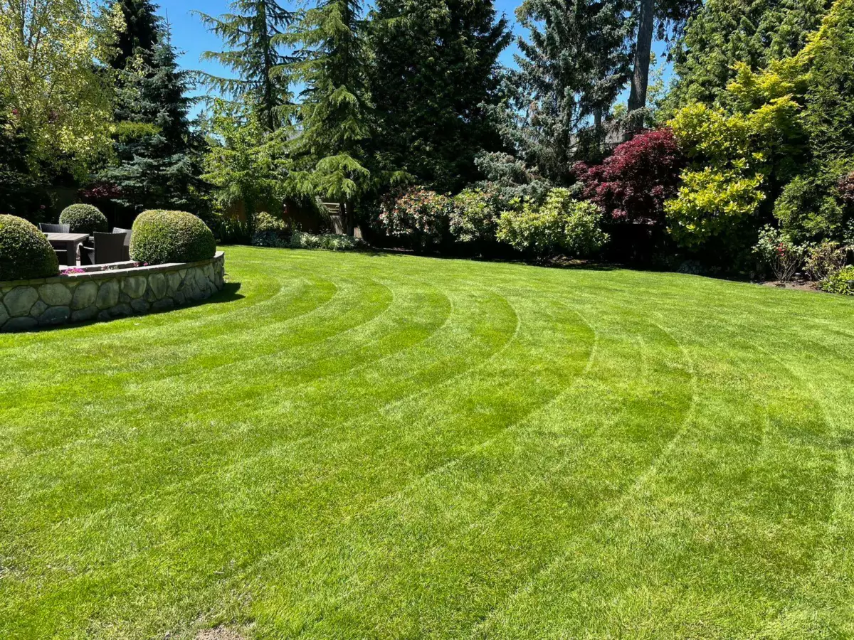 Outdoor Deck Photo of 13923 22a Ave Avenue, Surrey, BC