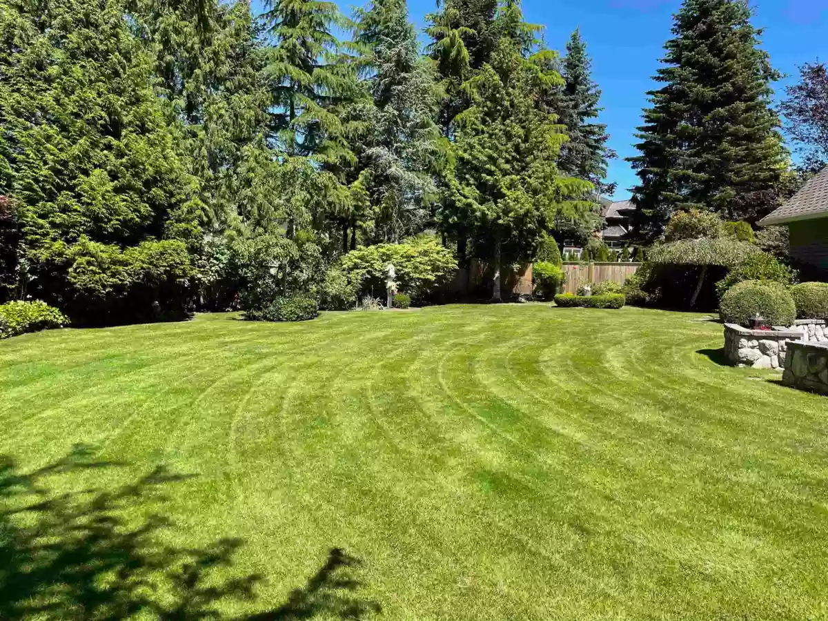 Outdoor Patio Photo of 13923 22a Ave Avenue, Surrey, BC