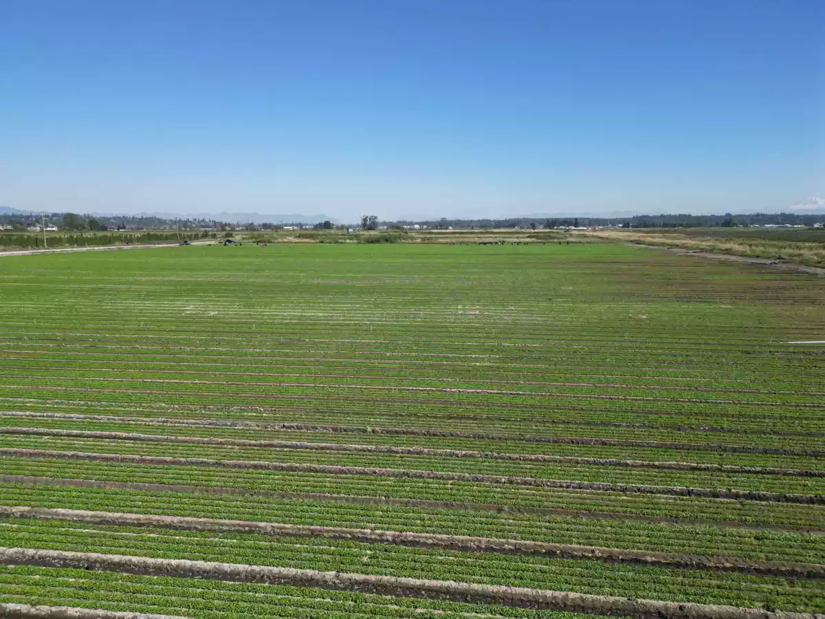 Living Room Photo of 4444 168 Street, Surrey, BC
