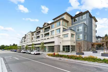 A213 20487 65 Avenue, Langley, BC, Langley — Apartment/Condo for sale