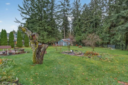Backyard Photo of 24644 56 Avenue, Langley, BC
