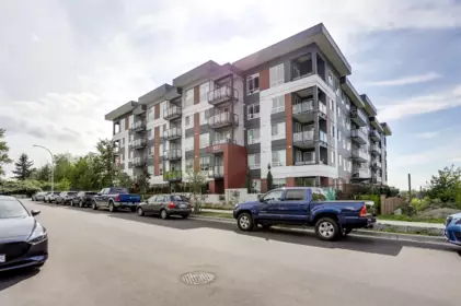 217 8117 200a Street, Langley, BC, Willoughby Heights — 1 bed apartment/condo for sale
