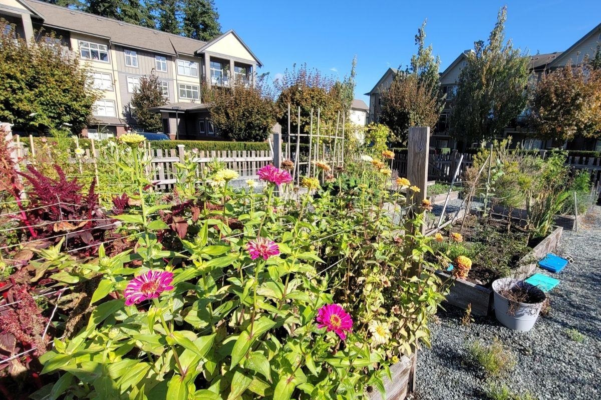 Swimming Pool Photo of 507 2855 156 Street, Surrey, BC