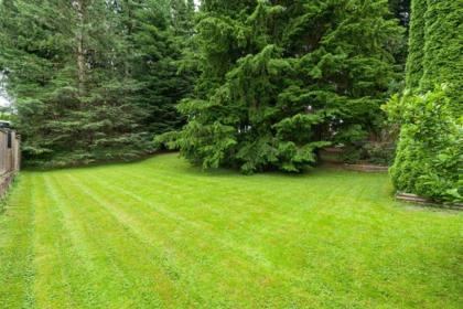 2161 Martens Street, Abbotsford, BC, Abbotsford — Single Family Residence for sale