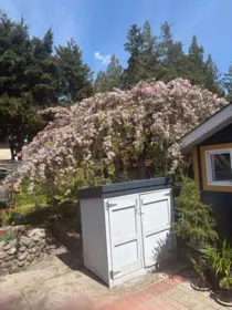Fitness Center Photo Near 5702 Medusa Street, Sechelt, BC