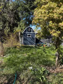 Outdoor Kitchen Photo of 5702 Medusa Street, Sechelt, BC