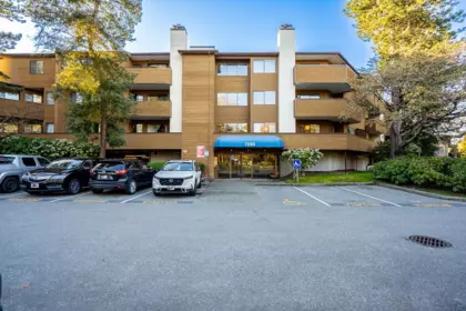 Aerial View of 254 7293 Moffatt Road, Richmond, BC