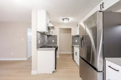 Powder Room Photo of 254 7293 Moffatt Road, Richmond, BC