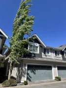 10 8091 Williams Road, Richmond, BC