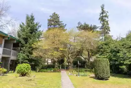 Outdoor Patio Photo of 844 Westview Drive, North Vancouver, BC