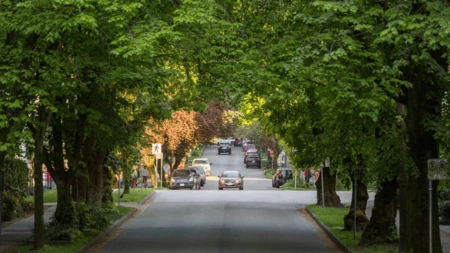Front Yard Photo of 207 1535 Nelson Street, Vancouver, BC