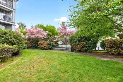 Aerial View of 301 12020 207a Street, Maple Ridge, BC