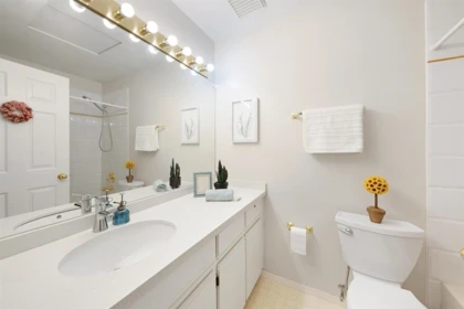 Powder Room Photo of 416 6866 Nicholson Road, Delta, BC