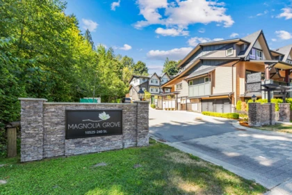 Aerial View of 11 10525 240 Street, Maple Ridge, BC