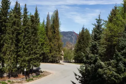 Pantry Photo of 431 4899 Painted Cliff Road, Whistler, BC