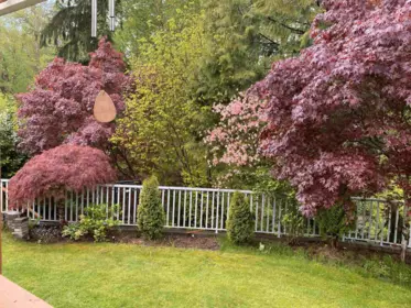 Garden / Landscaping Photo of 8099 148a Street, Surrey, BC