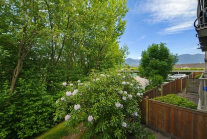 Kitchen Island Photo of 215 7694 Evans Road, Chilliwack, BC
