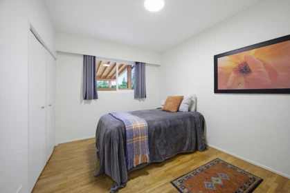 Basement Recreation Room Photo of 11757 Carr Street, Maple Ridge, BC