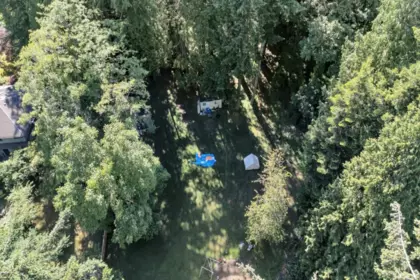 Backyard Photo of 2838 132 Street, Surrey, BC