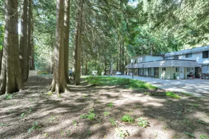 Kitchen Photo of 2838 132 Street, Surrey, BC