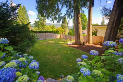 Hot Tub / Spa Photo of 2209 St. George Street, Port Moody, BC