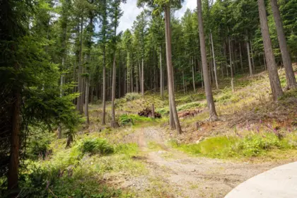 393 Creek Road, Bowen Island, BC, Bowen Island — Land for sale