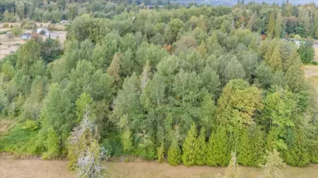 25181 100 Avenue, Maple Ridge, BC, Maple Ridge — Land for sale