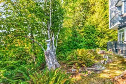Aerial View of 3476 Wilkie Avenue, Coquitlam, BC