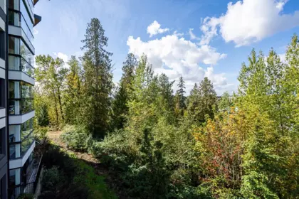 Outdoor Patio Photo of 315 11641 227 Street, Maple Ridge, BC