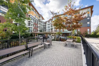 Swimming Pool Photo of 315 11641 227 Street, Maple Ridge, BC