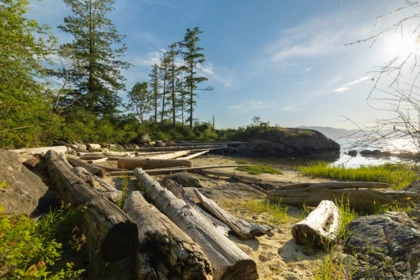 Dining Area Photo of BLK A Sunshine Coast Highway, Halfmoon Bay, BC