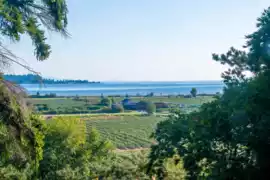 5242 Station Road, Surrey, BC