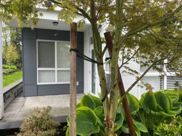 Office / Den Photo of 107 22315 122 Avenue, Maple Ridge, BC