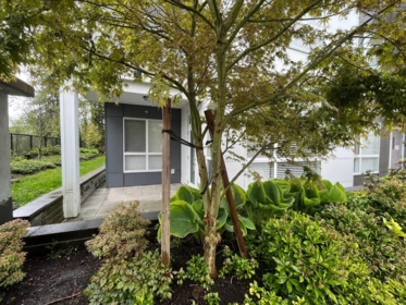 Powder Room Photo of 107 22315 122 Avenue, Maple Ridge, BC