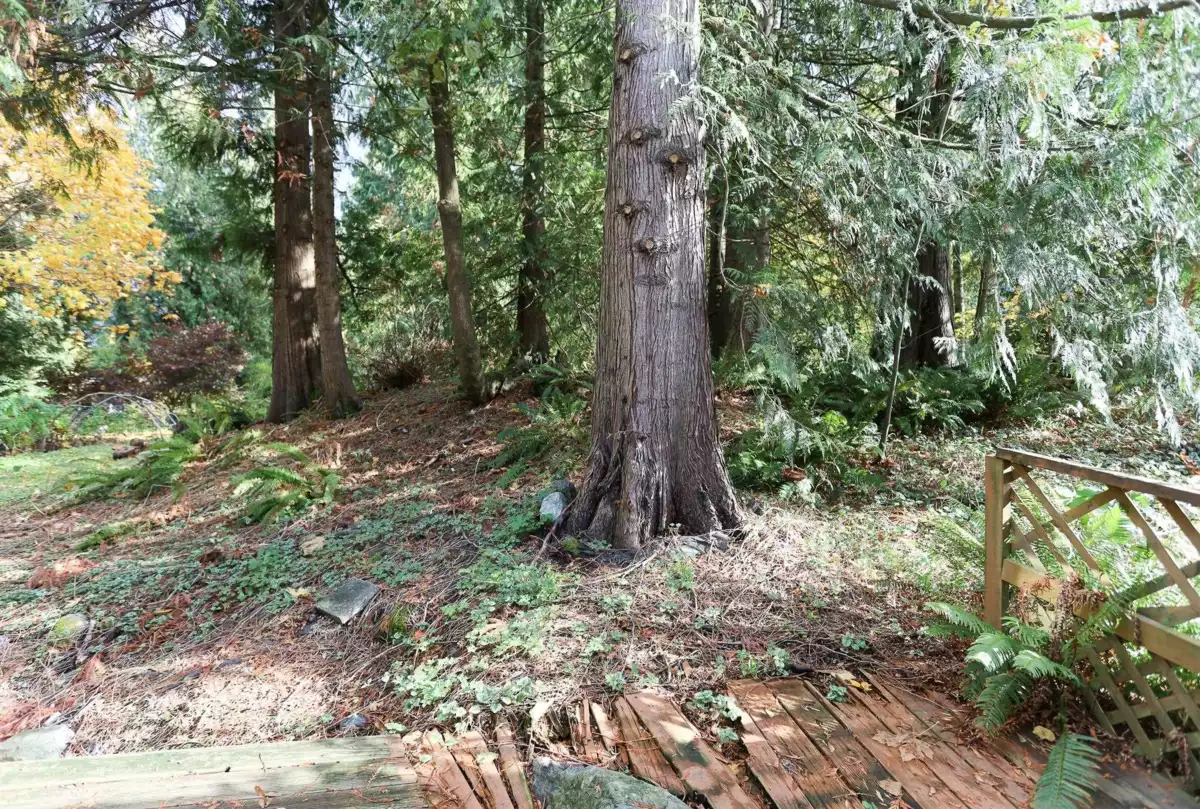 Hallway Photo of 52975 Yale Road, Rosedale, BC