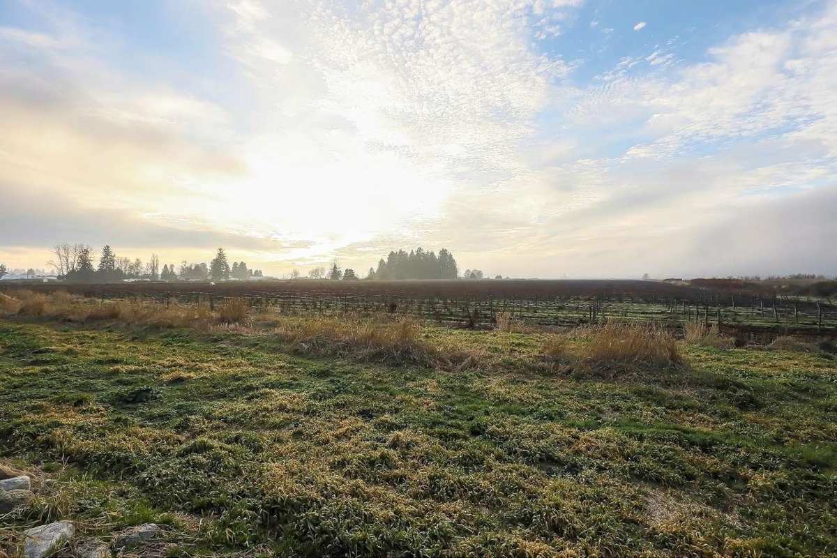 Community Amenities Photo (Clubhouse) of 8415 184 Street, Surrey, BC
