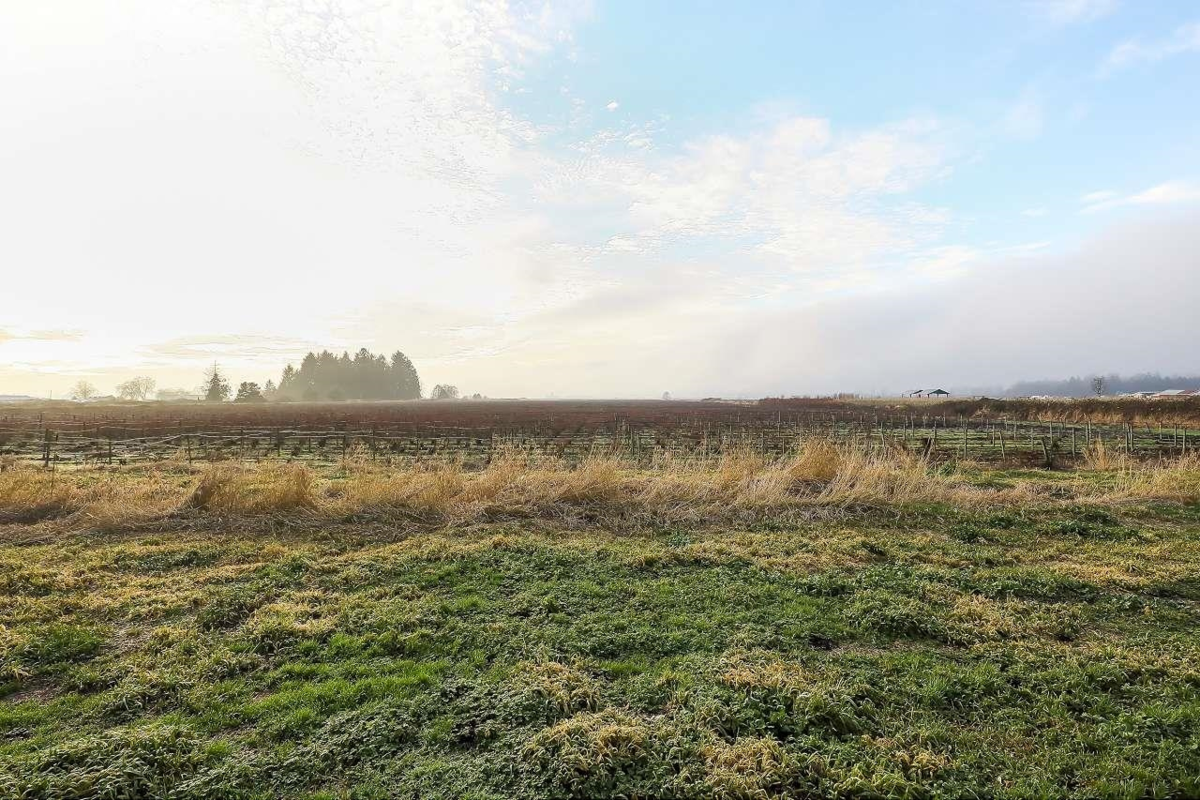 Street View Photo of 8415 184 Street, Surrey, BC