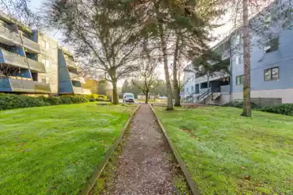 Backyard Photo of 214 5906 176a Street, Surrey, BC