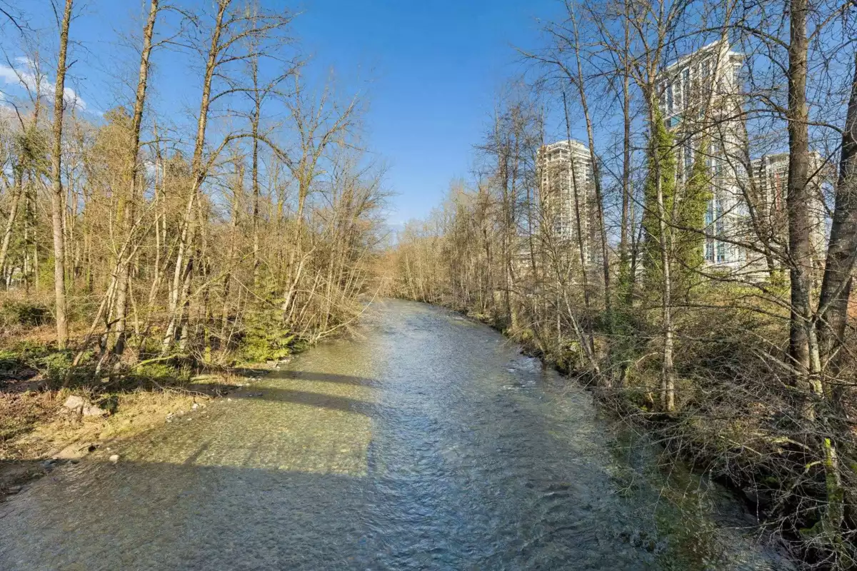 Neighborhood Park Photo Near 3006 1500 Fern Street, North Vancouver, BC