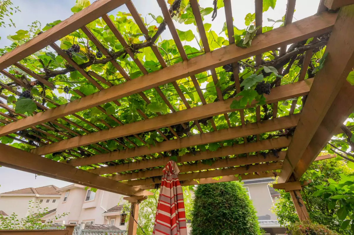 Neighborhood Park Photo Near 6758 150 Street, Surrey, BC