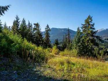 Pantry Photo of 3853 Sunridge Court, Whistler, BC