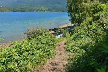 Backyard Photo of 6318 N Gale Avenue, Sechelt, BC