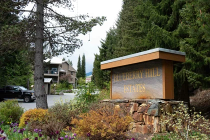 Aerial View of 3123 St Moritz Crescent, Whistler, BC