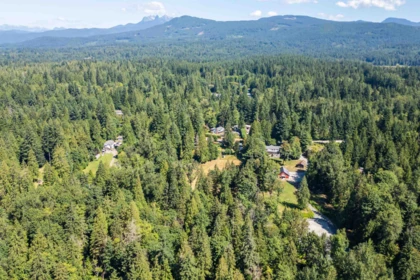 Pantry Photo of Lot 31 108 Avenue, Maple Ridge, BC