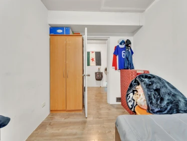 Basement Recreation Room Photo of 2910 2912 Babich Street, Abbotsford, BC