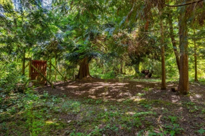 Aerial View of 7974 Redrooffs Road, Halfmoon Bay, BC