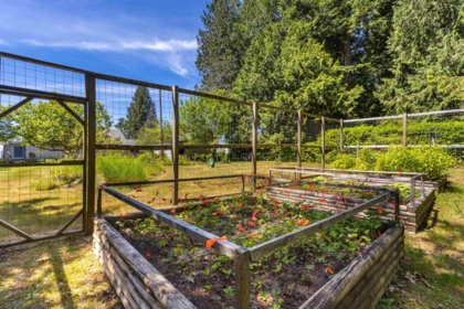 Backyard Photo of 7974 Redrooffs Road, Halfmoon Bay, BC