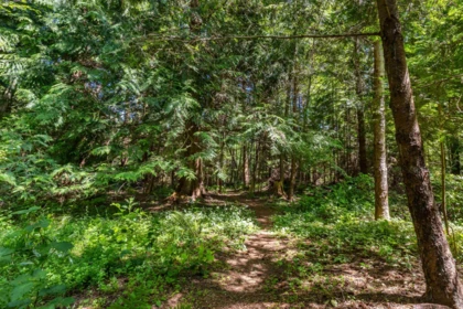 Street View Photo of 7974 Redrooffs Road, Halfmoon Bay, BC