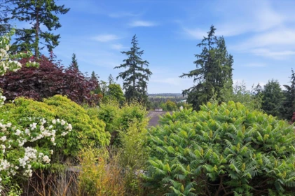 Aerial View of 8099 Wiltshire Place, Delta, BC