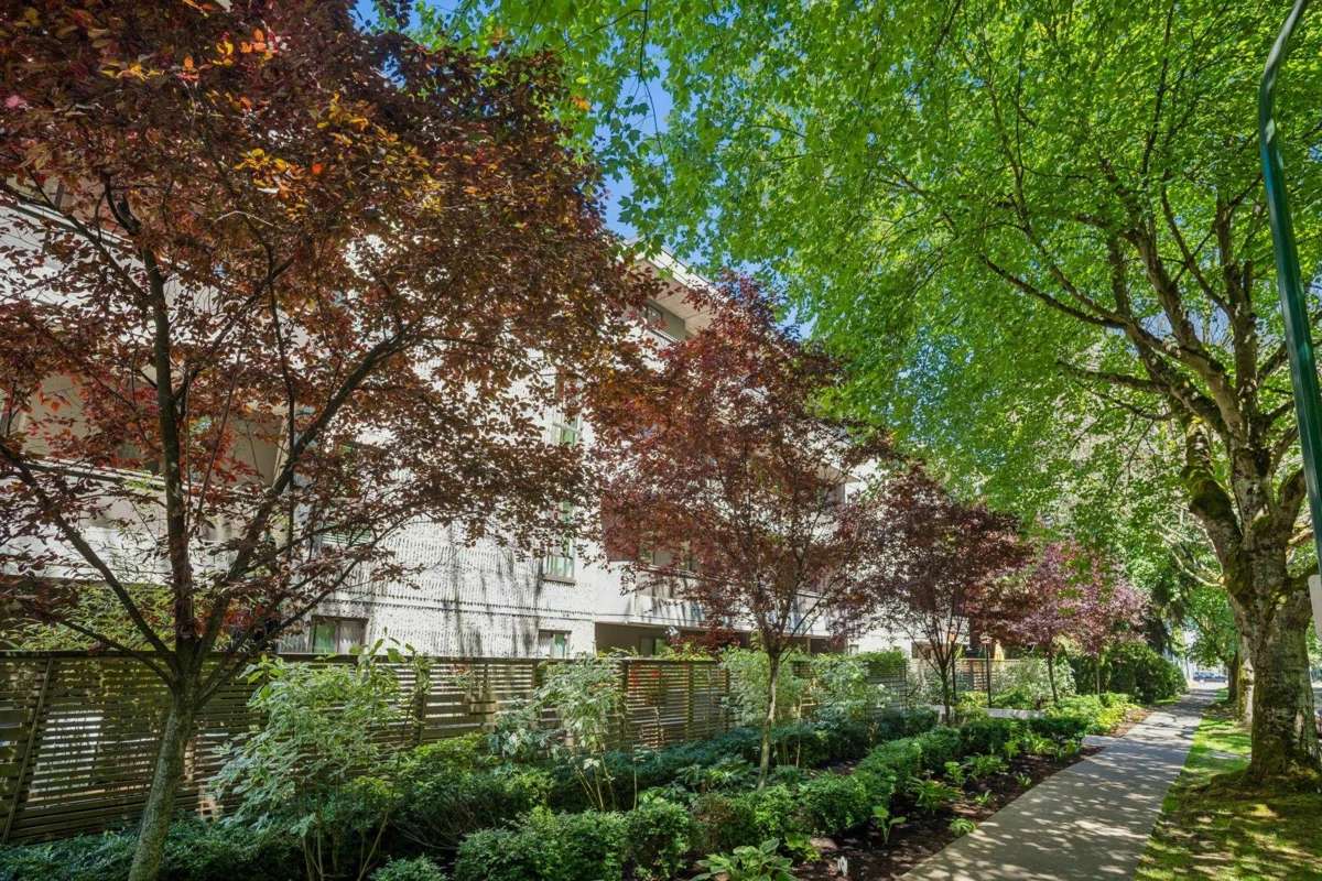 Family Room Photo of 202 1867 W 3rd Avenue, Vancouver, BC
